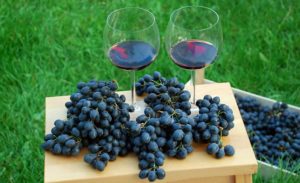 elaboracion de vino segun la uva