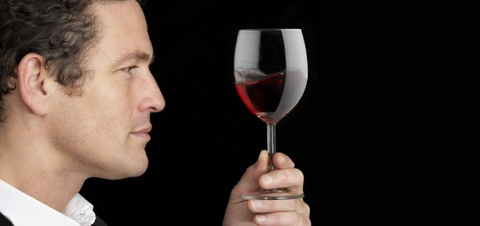 diferencia entre catar y degustar vinos